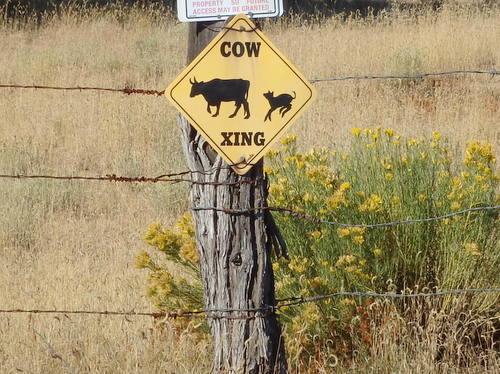 GDMBR: Terry really liked this Cow Warning Sign.
